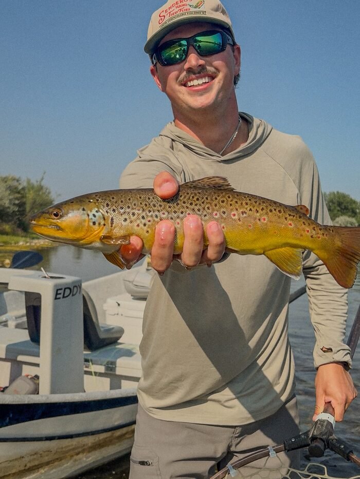 A golden brown trout held beside a drift boat on the Bighorn River